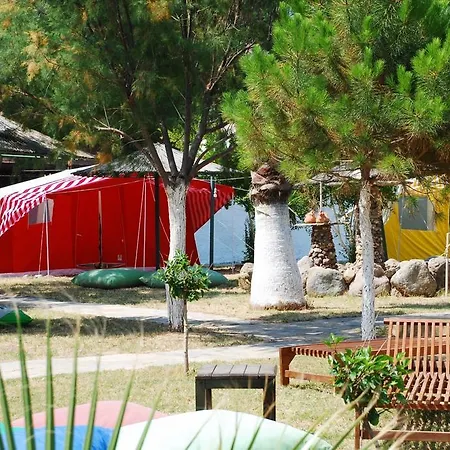 Ilginlar Plaj-kamping Lüks kamp alanı Ortakent