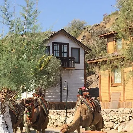 Ilginlar Plaj-kamping * Ortakent